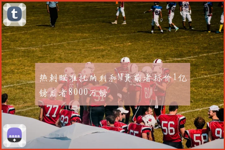 热刺瞄准托纳利和M费前者标价1亿镑后者8000万镑